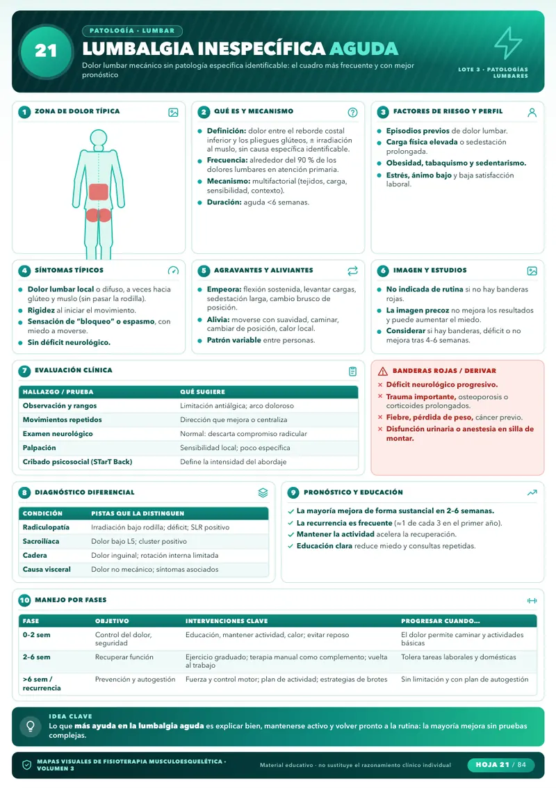 Mapa visual: Dolor Lumbar (Columna Lumbar)